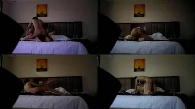 91呆哥 91呆哥系列005宾馆艹风骚女主播33分钟高清1.2G原版